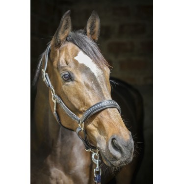 Caveira de couro Pénélope Point Sellier Preto Caveira de couro Pénélope Point Sellier Preto