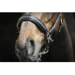 Caveira de couro Pénélope Point Sellier Preto Caveira de couro Pénélope Point Sellier Preto