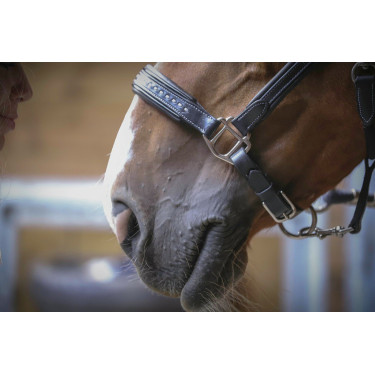 Caveira de couro Pénélope Point Sellier Preto Caveira de couro Pénélope Point Sellier Preto