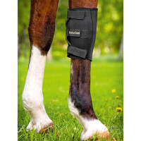 Joelheira Back on Track Joelheira Back on Track