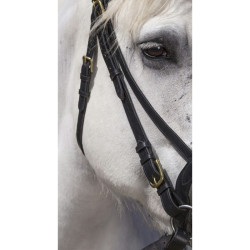 Bridão Excelsior Cavalo de Tração Preto