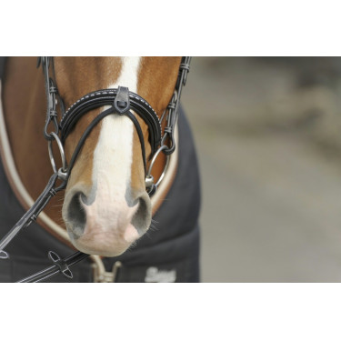 Bridão Pénélope Point Sellier Preto