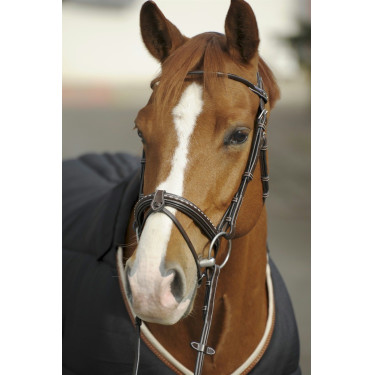 Bridão Pénélope Point Sellier Havana Castanho