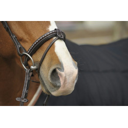 Bridão Pénélope Point Sellier Havana Castanho