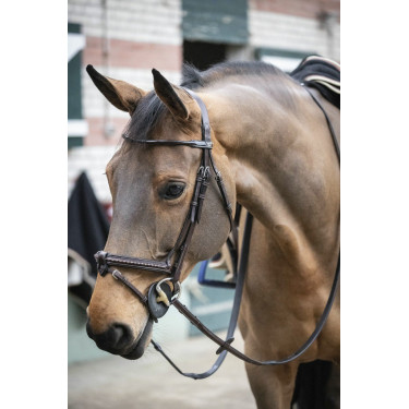 Bridão Pénélope Point Sellier Havana Castanho