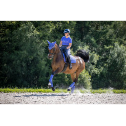 Tapete LeMieux Suede Dressage Square Bluebell Azul Tapete LeMieux Suede Dressage Square Bluebell Azul