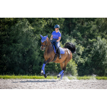 Tapete LeMieux Suede Dressage Square Bluebell Azul Tapete LeMieux Suede Dressage Square Bluebell Azul