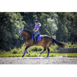 Tapete LeMieux Suede Dressage Square Bluebell Azul Tapete LeMieux Suede Dressage Square Bluebell Azul