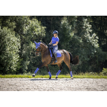 Tapete LeMieux Suede Dressage Square Bluebell Azul Tapete LeMieux Suede Dressage Square Bluebell Azul