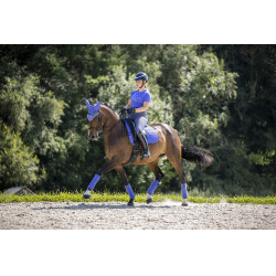 Tapete LeMieux Suede Dressage Square Bluebell Azul Tapete LeMieux Suede Dressage Square Bluebell Azul