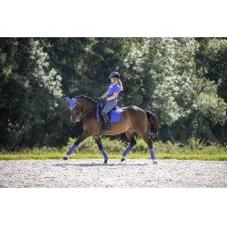Tapete LeMieux Suede Dressage Square Bluebell Azul Tapete LeMieux Suede Dressage Square Bluebell Azul