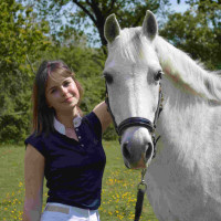 Polo Equithème Brussels com strass Azul-marinho