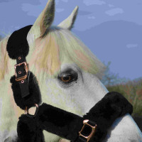 Caveira Equithème Teddy rosa dourado Preto Caveira Equithème Teddy rosa dourado Preto