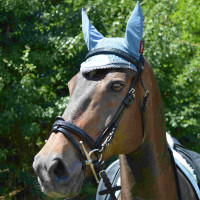 Bridão Canter Preto com strass Preto