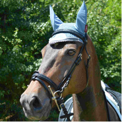 Bridão Canter Preto com strass Bridão Canter Preto com strass