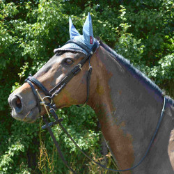 Bridão Canter Preto com strass Bridão Canter Preto com strass
