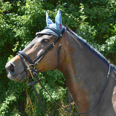 Bridão Canter Preto com strass Bridão Canter Preto com strass