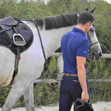 Polo LeMieux Senhor Polo LeMieux Senhor
