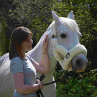 Cabresto de Transporte Flags & Cup Natural Castanho