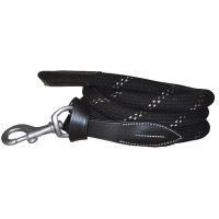 Corda longa Canter com... Corda longa Canter com...