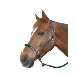 Cabezada de corda Canter fivelas brancas Cabezada de corda Canter fivelas brancas