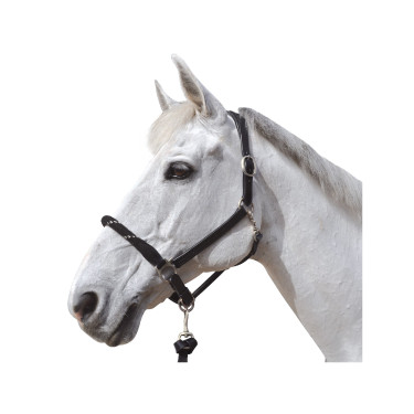 Cabezada de corda Canter fivelas brancas Cabezada de corda Canter fivelas brancas
