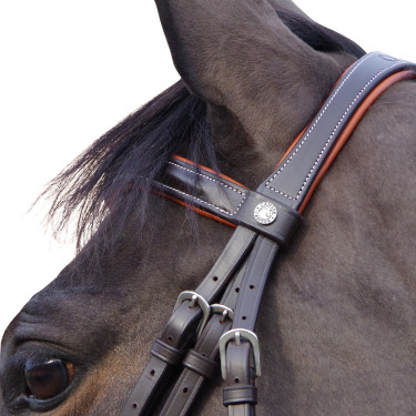 Bridon Canter Alme Castanho