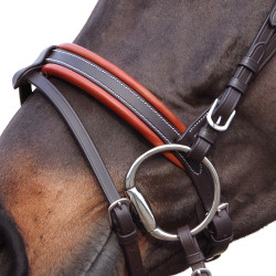 Bridon Canter Alme Castanho