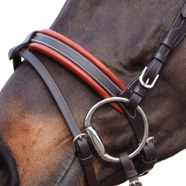 Bridon Canter Alme Castanho