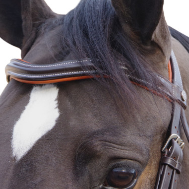 Bridon Canter Alme Castanho