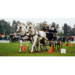 Conjunto de cones e bolas de atrelagem La Gée