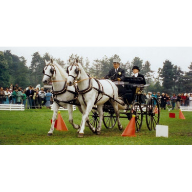 Conjunto de cones e bolas de atrelagem La Gée