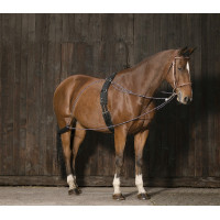 Enrêno de roldanas Norton Enrêno de roldanas Norton