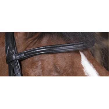 Bridon Norton Pro Soft Preto Bridon Norton Pro Soft Preto