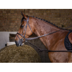Enrêno de borracha Riding World Enrêno de borracha Riding World