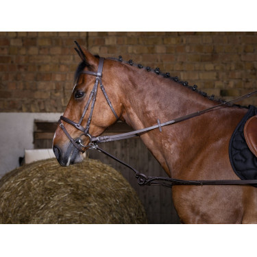 Enrêno de borracha Riding World Enrêno de borracha Riding World