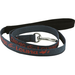 Trela de nylon Diego & Louna para cão Antracite Cinzento Trela de nylon Diego & Louna para cão Antracite Cinzento