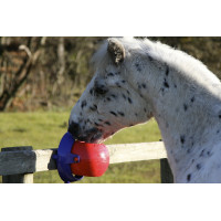 Jogo de sal para cavalo Tongue Twister Likit Vermelho