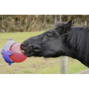 Jogo de sal para cavalo Tongue Twister Likit Vermelho Jogo de sal para cavalo Tongue Twister Likit Vermelho