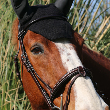 Bridão Pénélope Point Sellier Havana Castanho