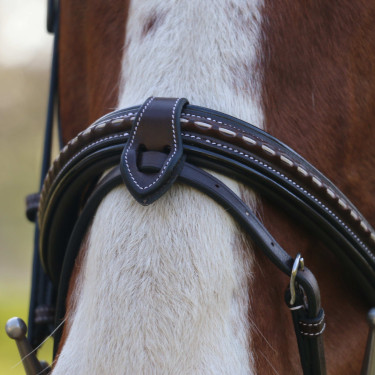 Bridão Pénélope Point Sellier Havana Castanho
