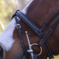 Bridão Pénélope Point Sellier Preto