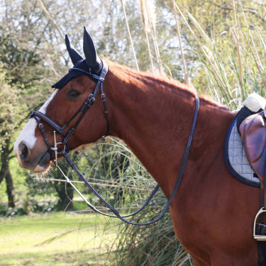 Bridão Pénélope Point Sellier Havana Castanho