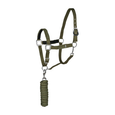 Conjunto de cabresto e guia Chicago Horze Verde cipreste / verde loden