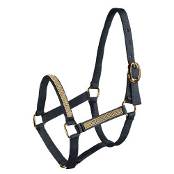 Cabresto para potro com strass Horze Cabresto para potro com strass Horze