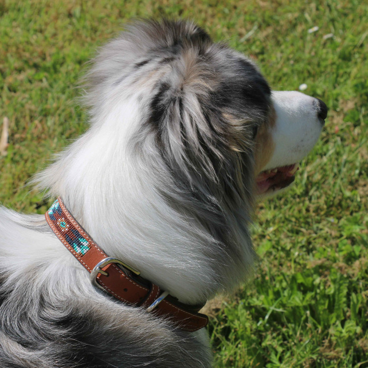 Coleira para cão Pénélope Pearl Coleira para cão Pénélope Pearl