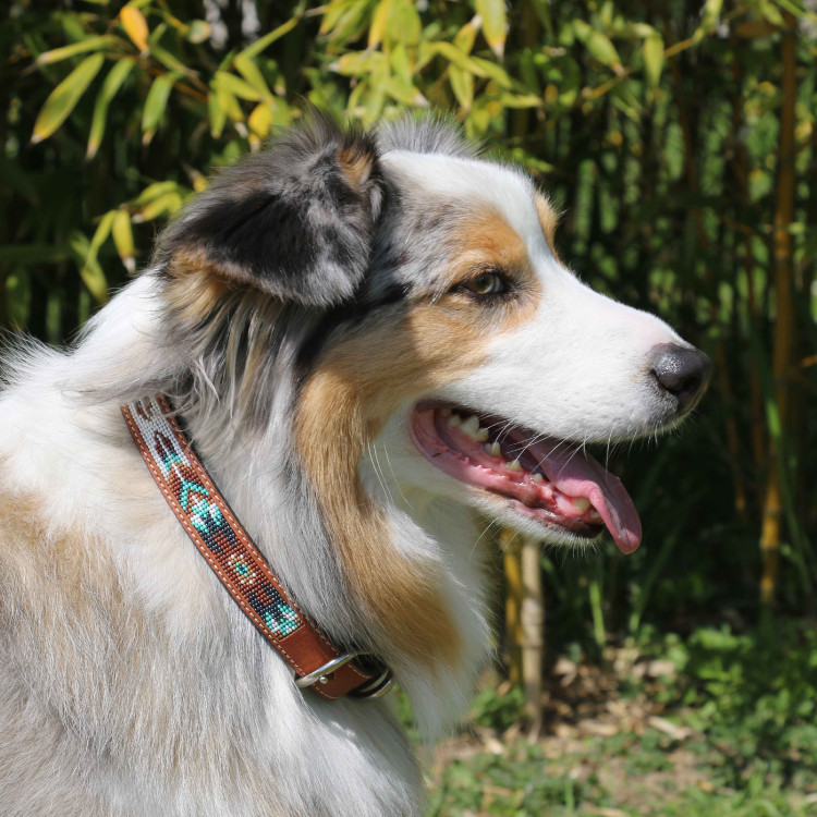 Coleira para cão Pénélope Pearl Coleira para cão Pénélope Pearl