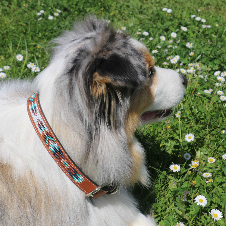 Coleira para cão Pénélope Pearl Coleira para cão Pénélope Pearl