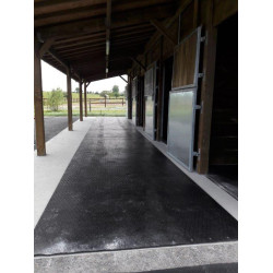 DELTA DIAM - SOL ALLEE ECURIE