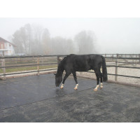 Delta Diam 16 mm Puzzle - Allée, Van et Camion